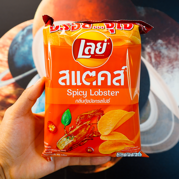 Lays Spicy Lobster - Exotic World Snacks